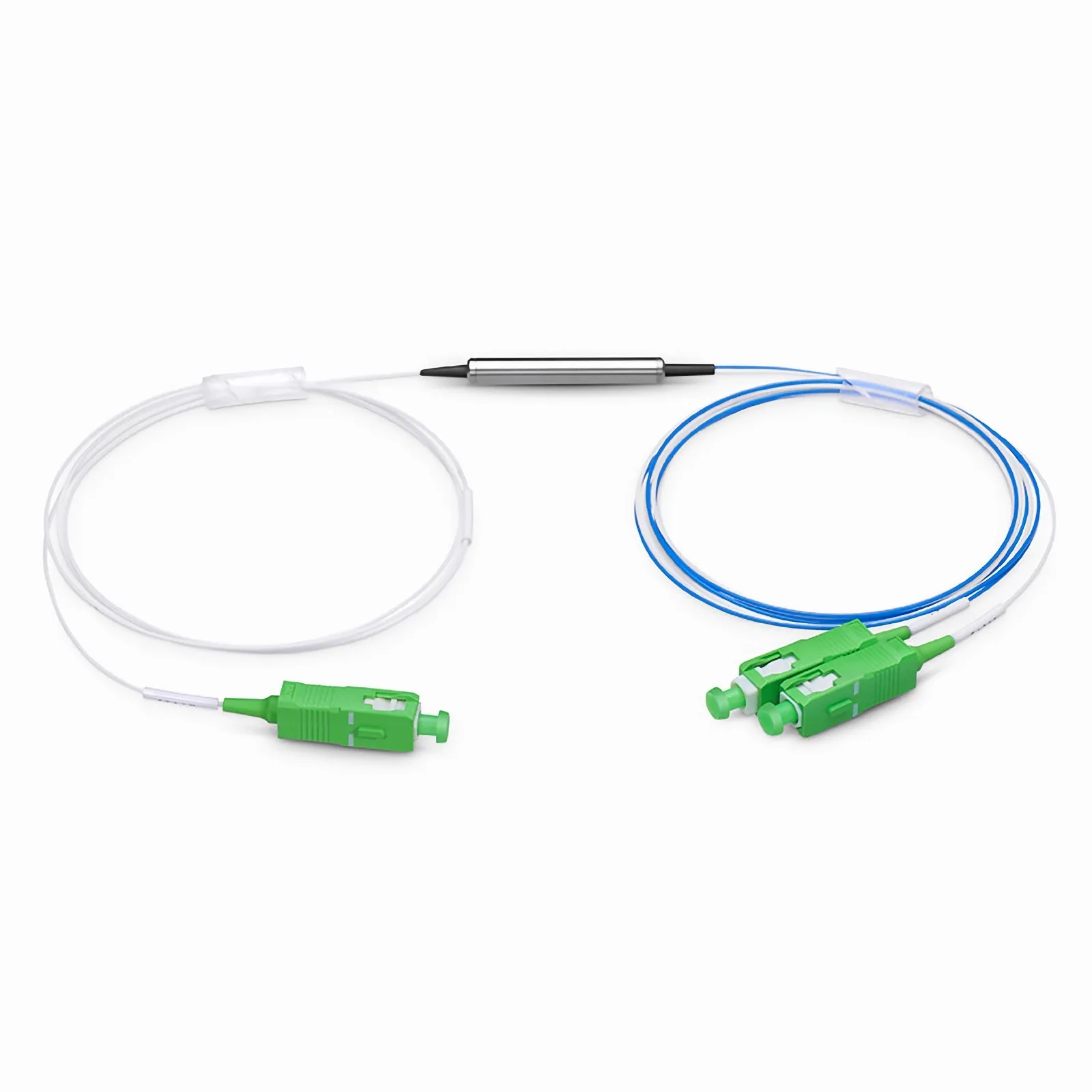 This picture is about FS-FWDM.