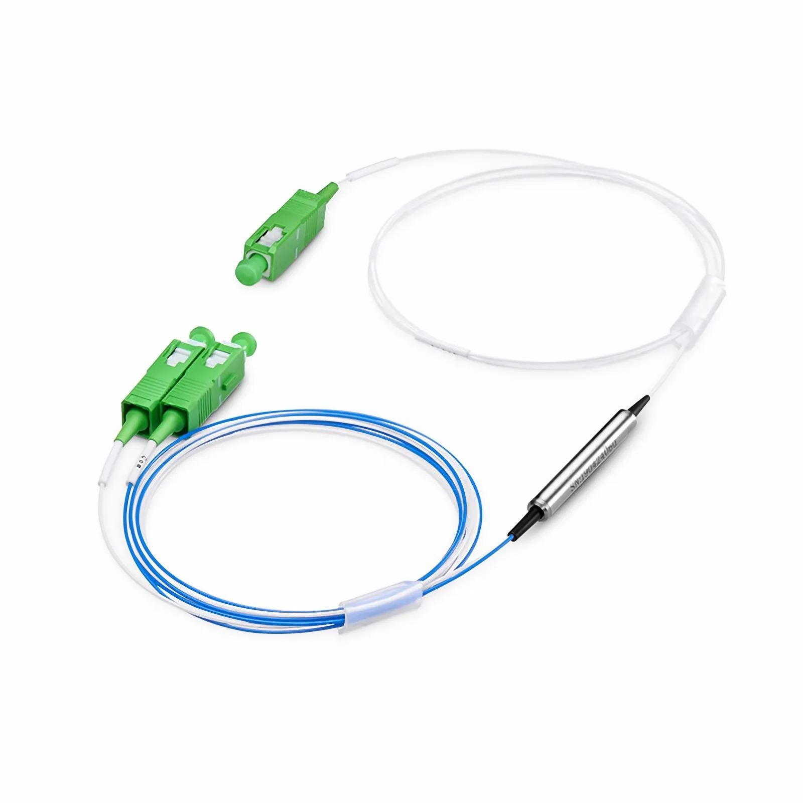 This picture is about FS-FWDM.