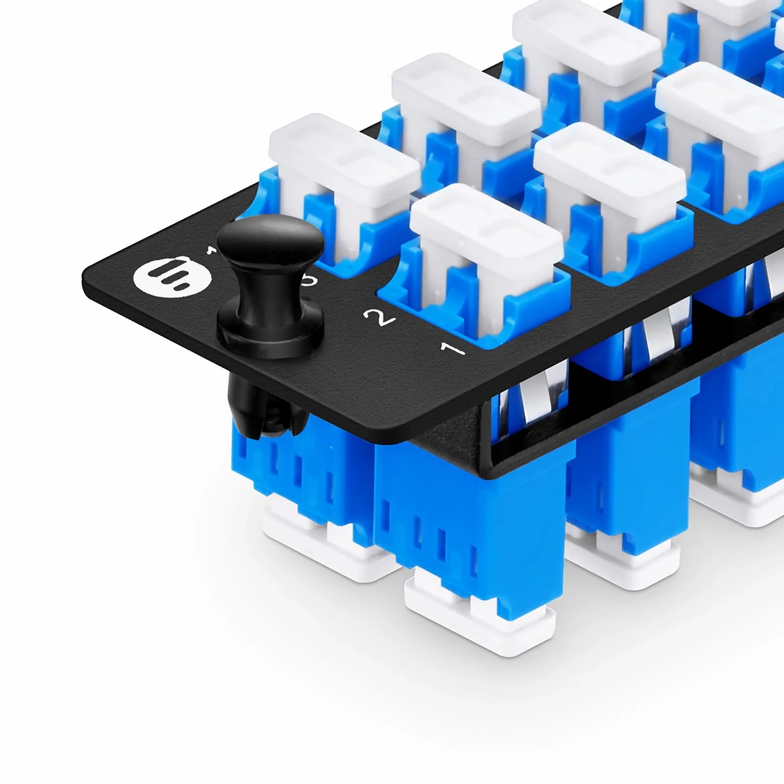 Questa immagine riguarda .