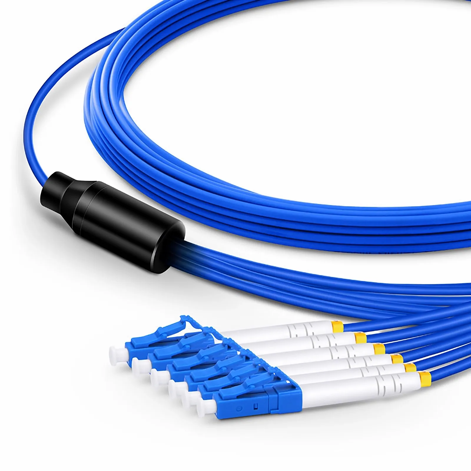 This picture is about AM-SMXX6F.