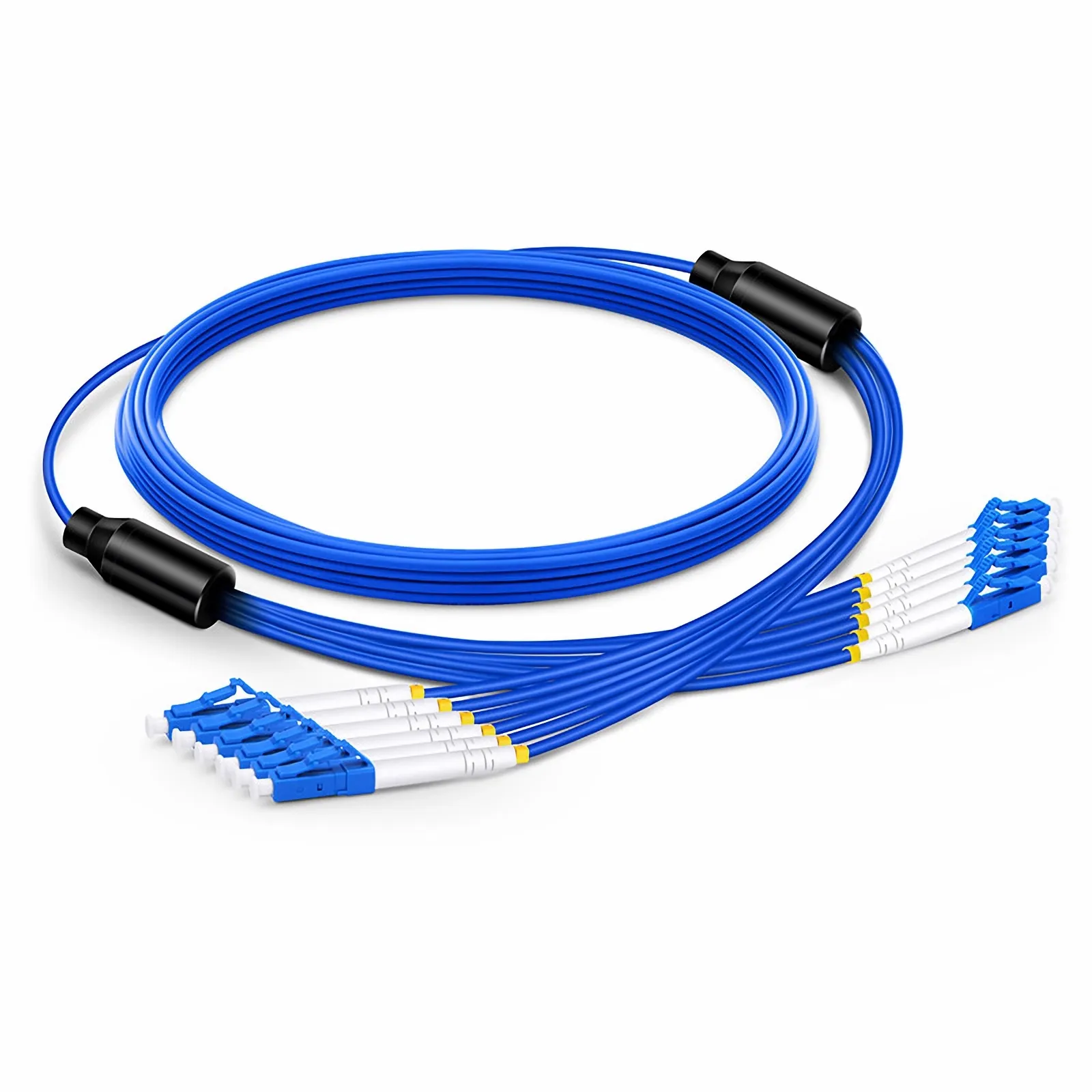 This picture is about AM-SMXX6F.