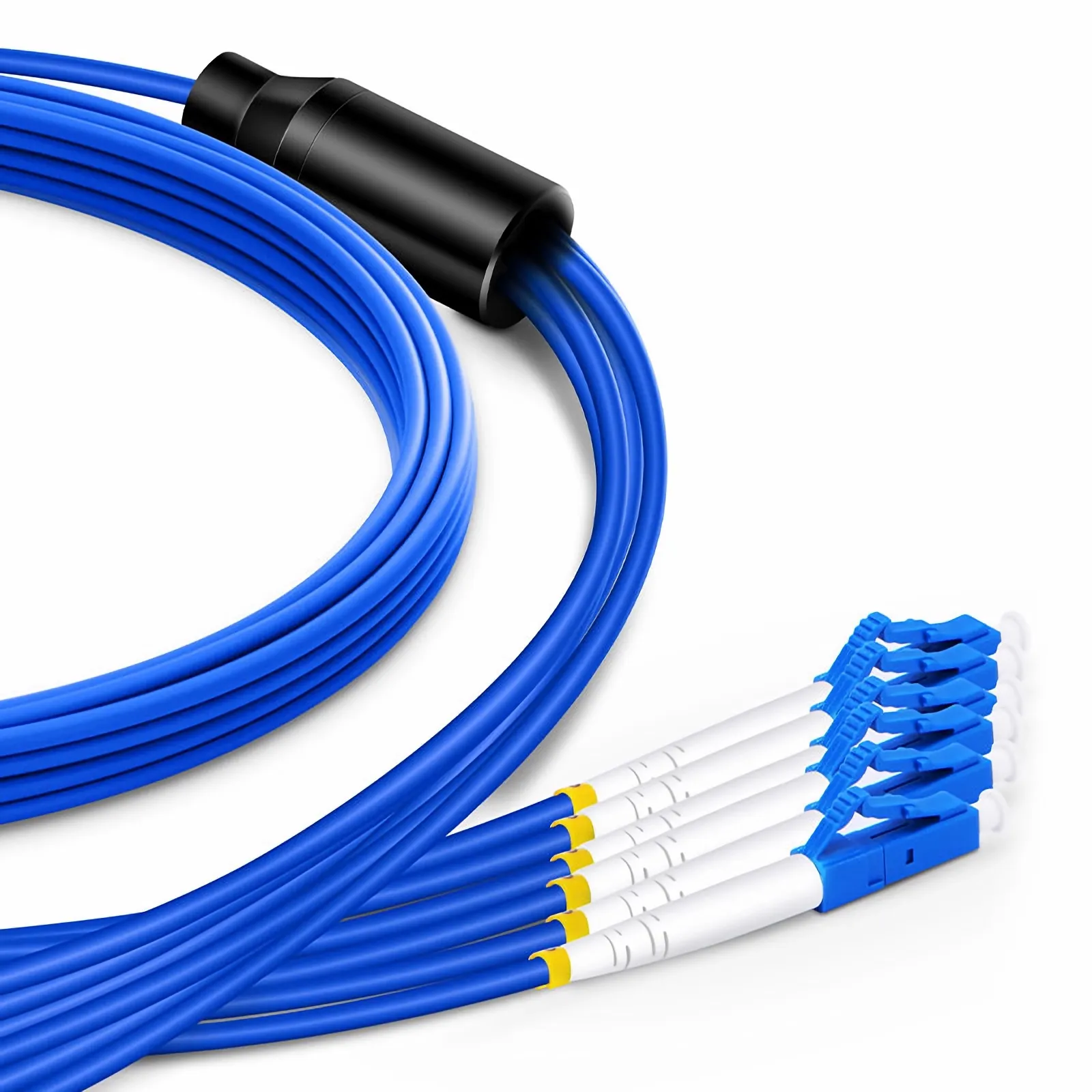 This picture is about AM-SMXX6F.