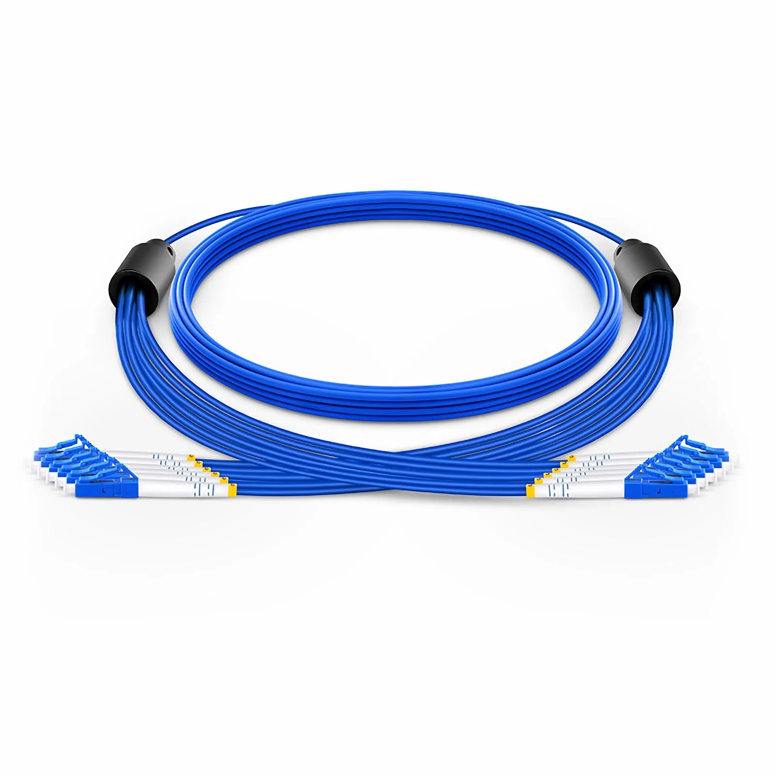 This picture is about AM-SMXX6F.