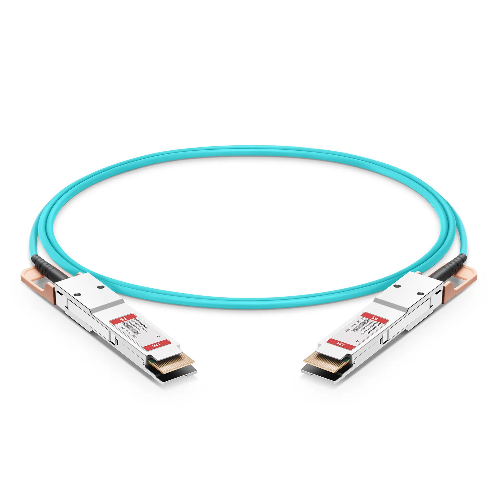 Questa immagine riguarda 1.