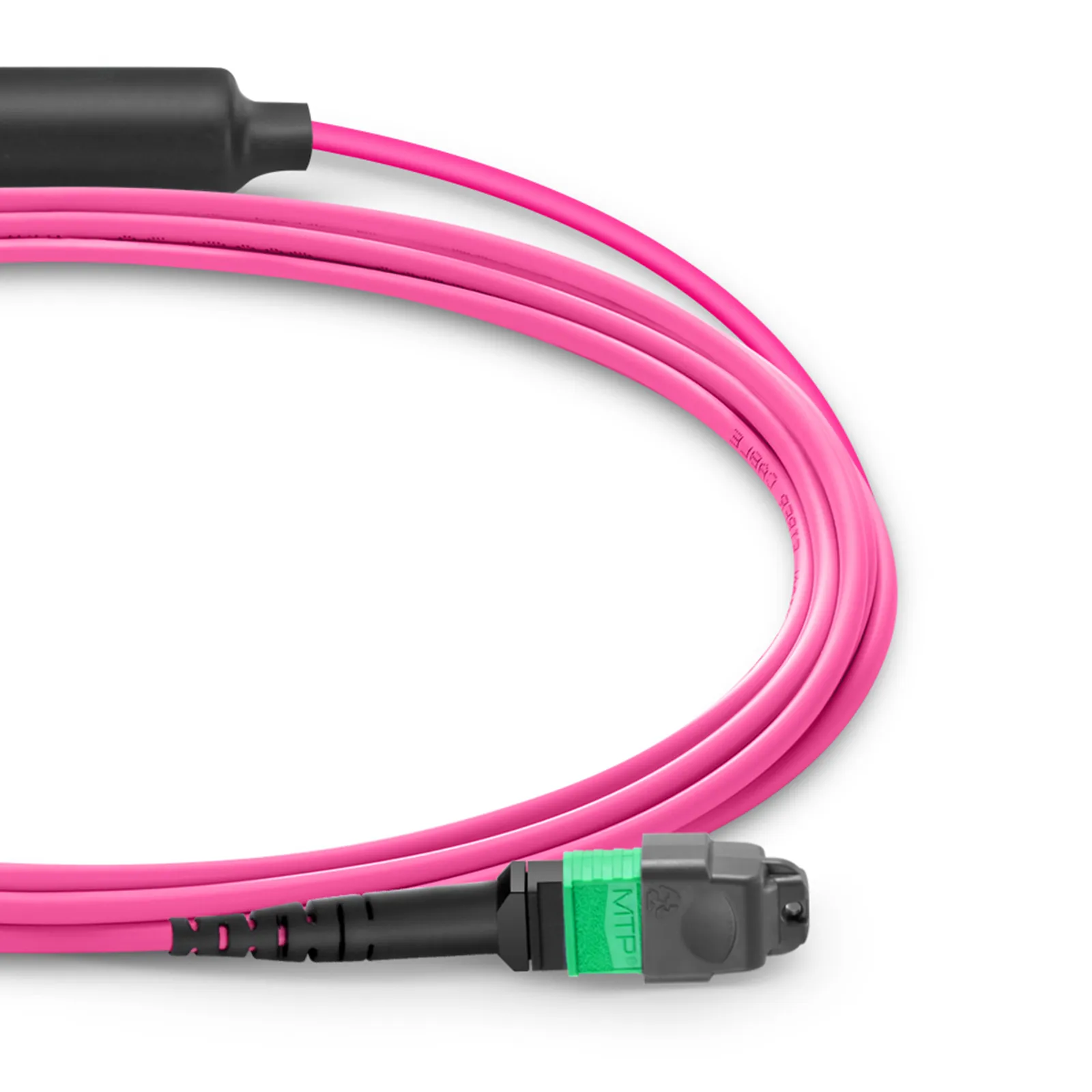 Customized MTP® Breakout Cable, MTP®-16 APC to 2 x MTP®-8 UPC, 16 Fibers, Multimode (OM4), 0.35dB Max, Crossover