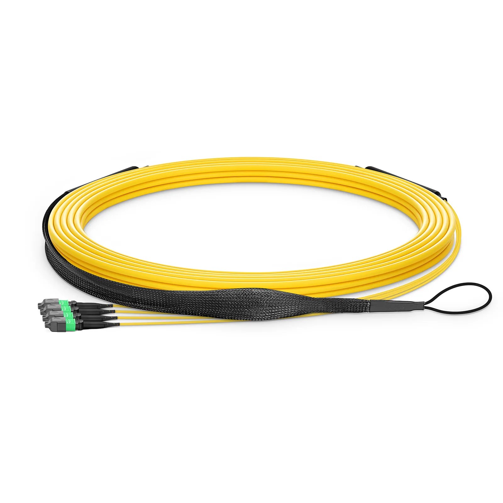 This picture is about  .