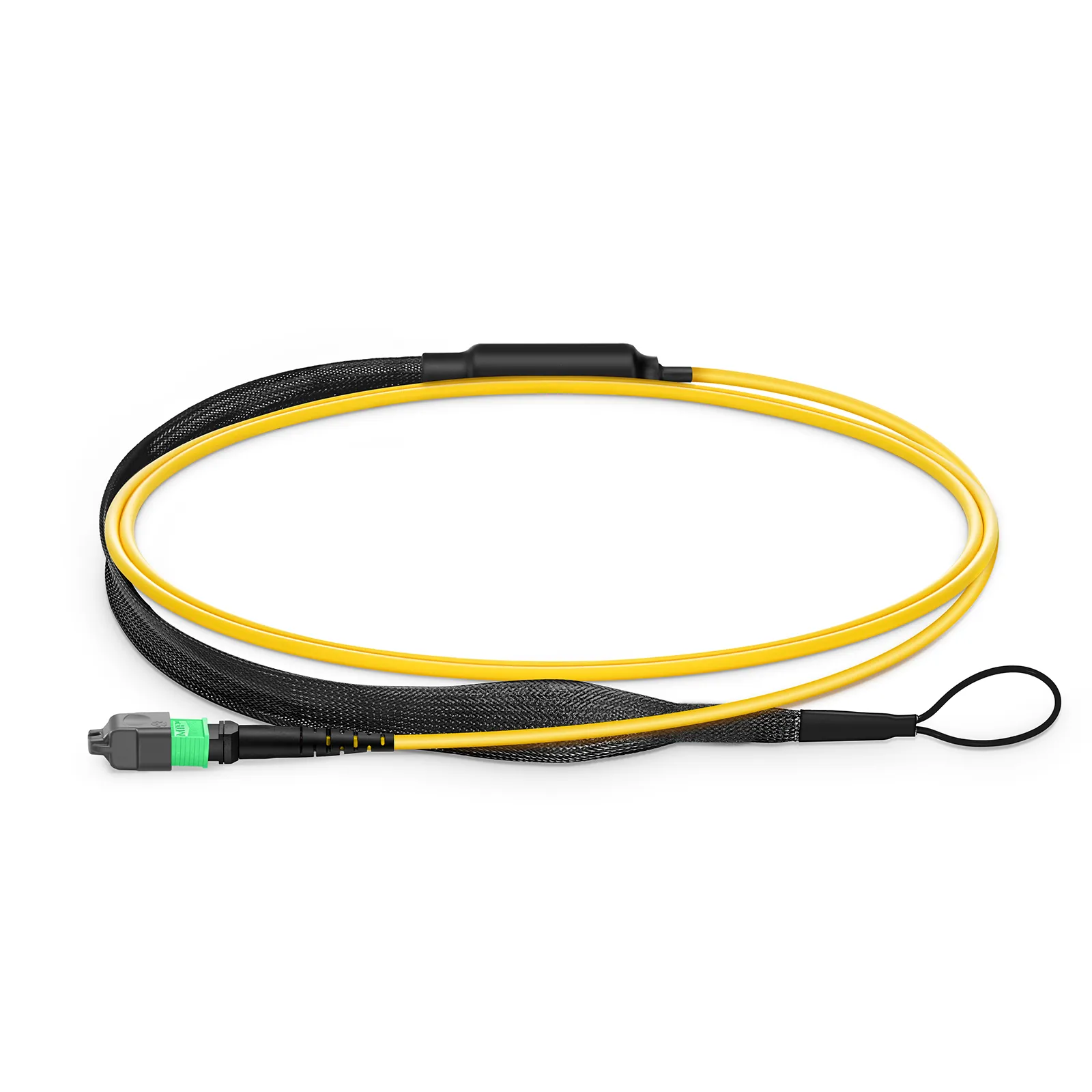 Customized MTP®-16 Harness, 16 Fibers, Single Mode (OS2), 0.35dB Max