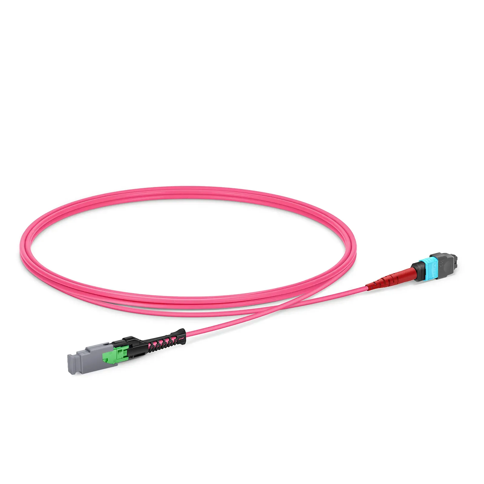 1m (3ft) MMC Jumper, MMC-24 APC (Female) to MTP®-24 UPC (Female), 24 Fibers, Multimode (OM4), Plenum (OFNP), 0.35dB Max, Jumper Polarity, Magent