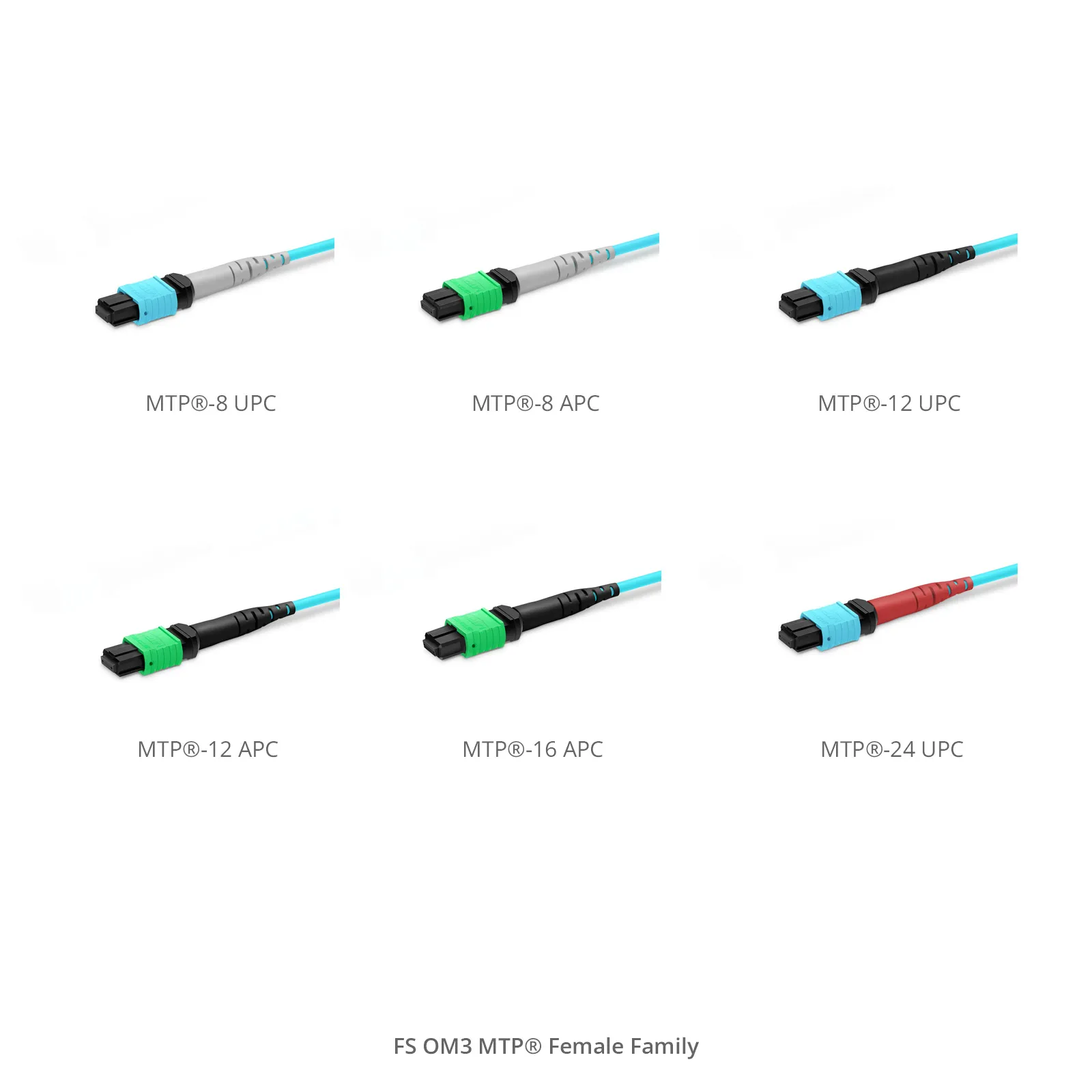 3m(10ft) MTP®-12 UPC(メス) - MTP®-12 UPC(メス) MTP®ジャンパー(12芯