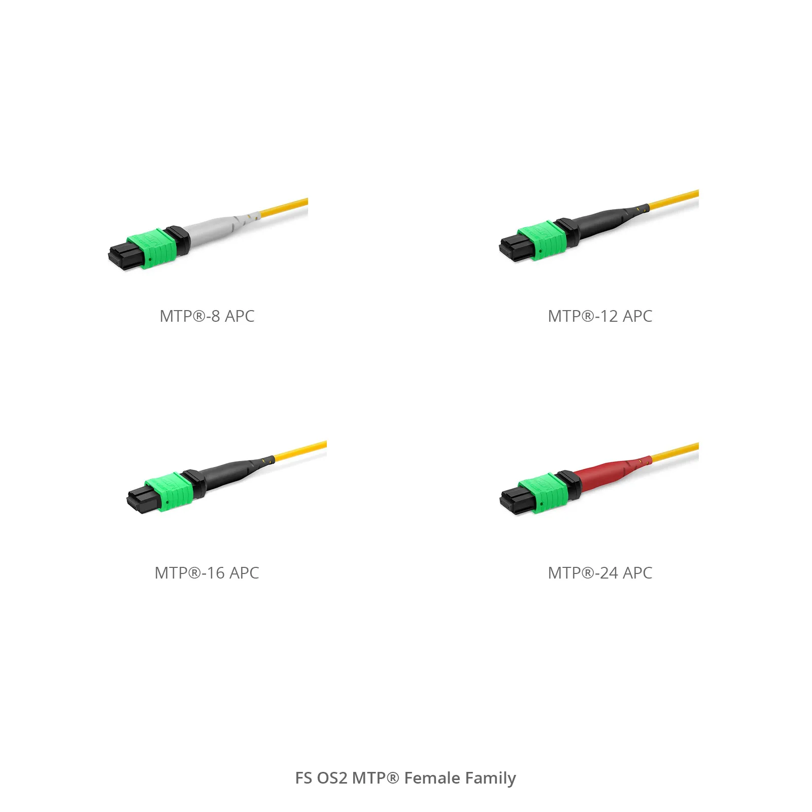 30m(98ft) MTP®-12 APC(メス) to MTP®-12 APC(メス) MTP®トランク