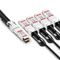 0.5m (2ft) Generic Compatible 400G QSFP-DD to 4 x 100G QSFP56 Passive Direct Attach Copper Breakout Cable This picture is about 4.