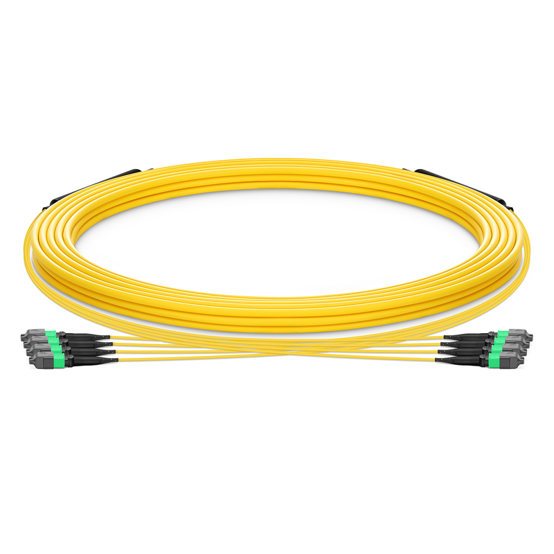 MTP-12 to MTP-12 APC Trunk Cable, Female, 48 Fibers, OS2, Type B, 30m (98ft)