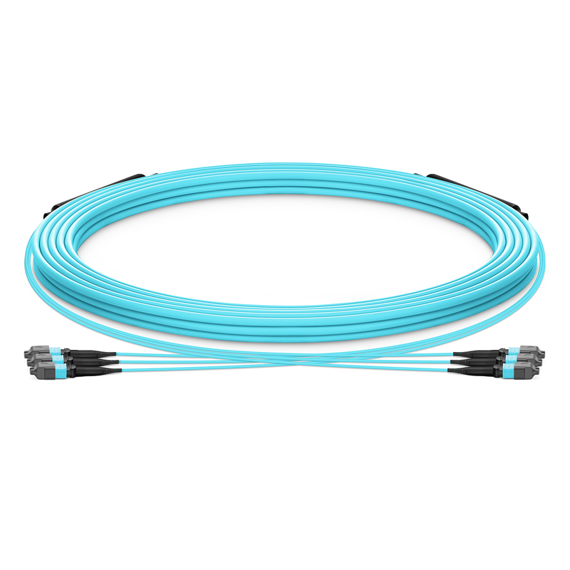 30m(98ft) MTP®-12 UPC(メス) to MTP®-12 UPC(メス) MTP®トランク