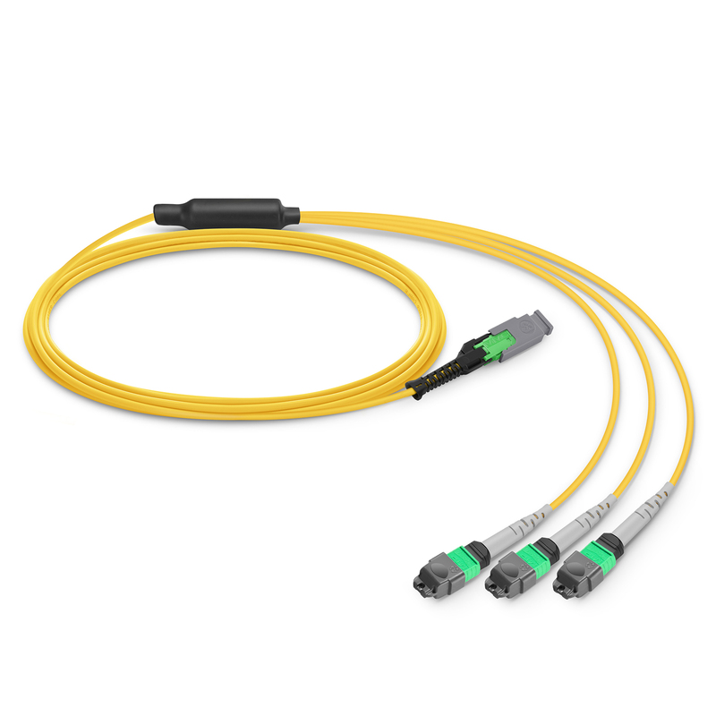 Câble Breakout MMC-24 vers 3 x MTP-8 APC, 24 Fibres, OS2, Polarité Jumper, 1m (3ft)