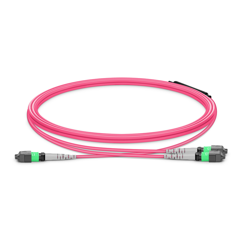 MTP-12 to 2 x MTP-4 APC Breakout Cable, 8 Fibers, OM4, Type B, 1m (3ft)