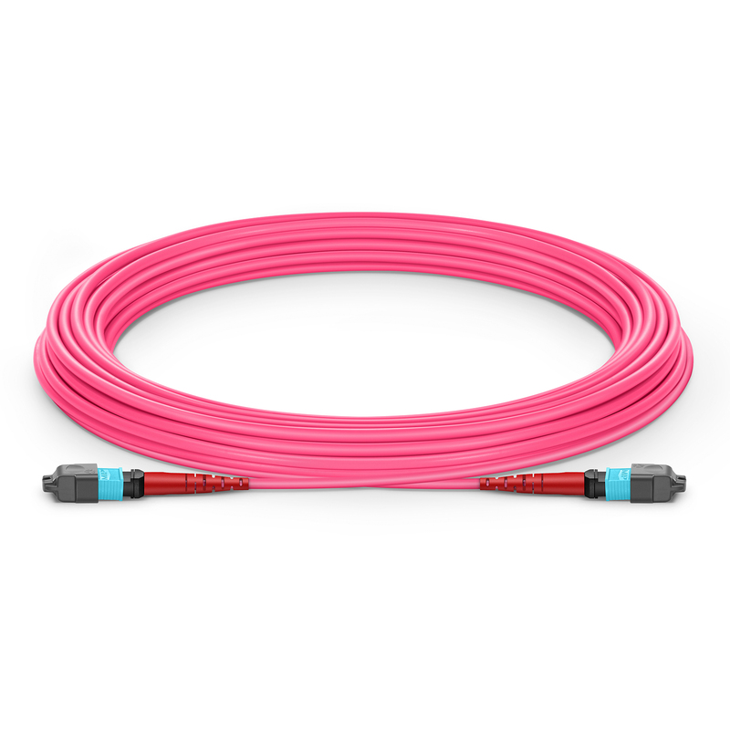 Jarretière MTP-24 personnalisée, 24-192F, OM4