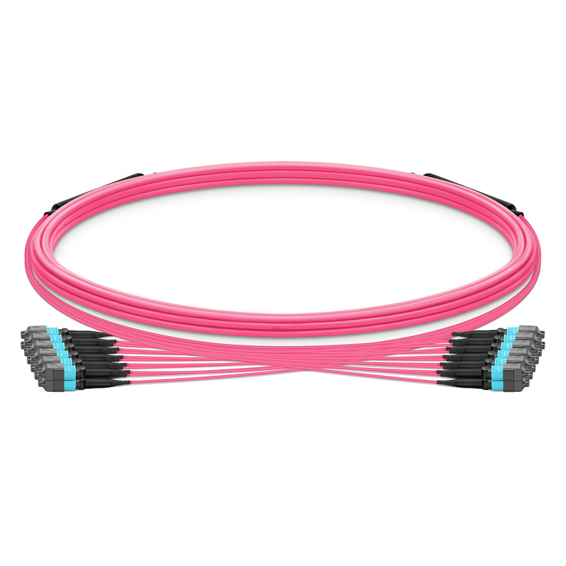 MTP-12 to MTP-12 UPC Trunk Cable, Female, 144 Fibers, OM4, Type B, 5m (16ft)