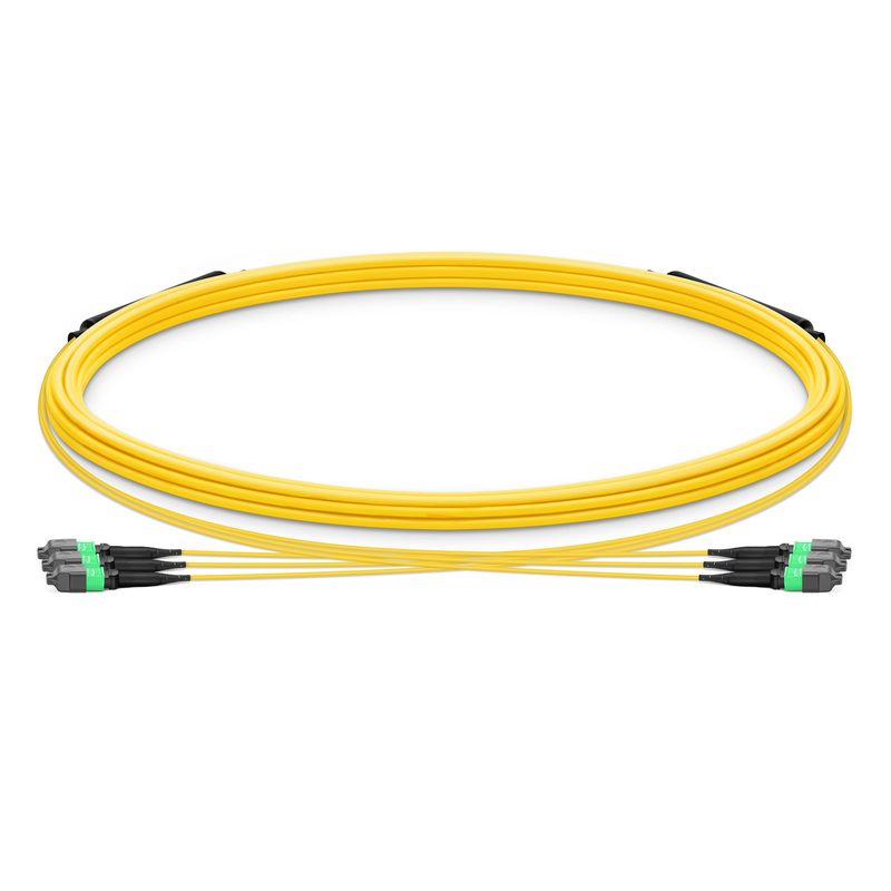 30m(98ft) MTP®-12 UPC(メス) to MTP®-12 UPC(メス) MTP®トランク