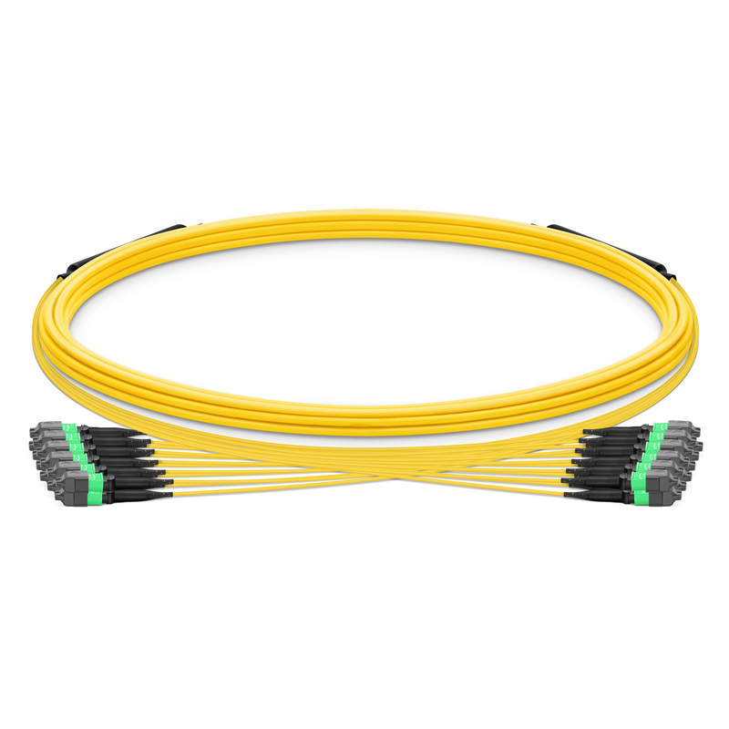 MTP-12 to MTP-12 APC Trunk Cable, Female, 144 Fibers, OS2, Type B, 5m (16ft)