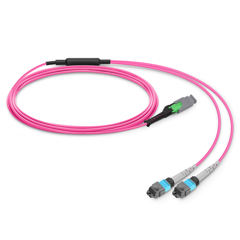 1m (3ft) MMC Breakout Cable, MMC-16 APC (Female) to 2 x MTP&reg;-8 UPC (Female), 16 Fibers, Multimode (OM4), Plenum (OFNP), 0.35dB Max, Jumper Polarity, Magenta