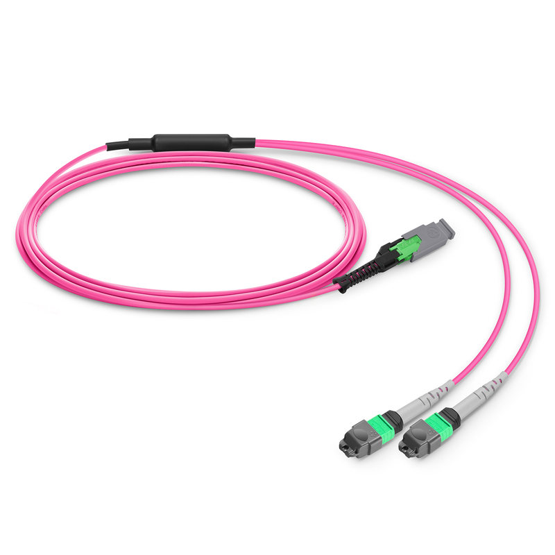1m (3ft) MMC Breakout Cable, MMC-16 APC (Female) to 2 x MTP&reg;-8 APC (Female), 16 Fibers, Multimode (OM4), Plenum (OFNP), 0.35dB Max, Jumper Polarity, Magenta