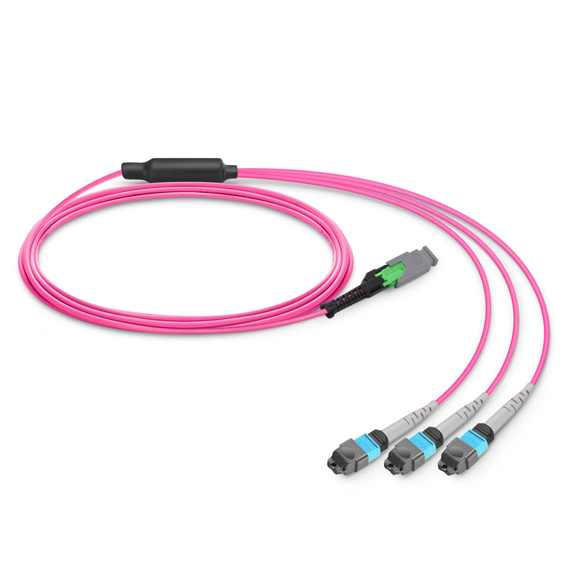 1m (3ft) MMC Breakout Cable, MMC-24 APC (Female) to 3 x MTP&reg;-8 UPC (Female), 24 Fibers, Multimode (OM4), Plenum (OFNP), 0.35dB Max, Jumper Polarity, Magenta