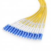 This picture is about 16FMTPLCSMF.