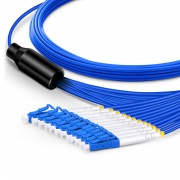 This picture is about AM-SMXX12F.