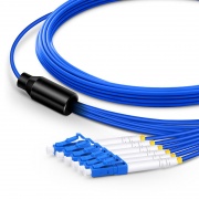 This picture is about AM-SMXX6F.