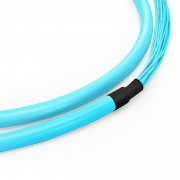 24 Fiber OM4 Indoor Multifiber Pre-Terminated Cable - FS.com