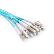 VERMICULAR24センチ 24 Fiber OM4 Indoor Multifiber Pre-Terminated Cable - FS.com