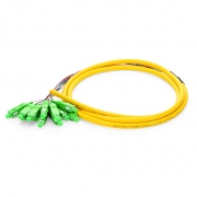 1.5m (5ft) Fiber Pigtail, SC APC to Unterminated, 12 Fibers, Bunch, OS2 Single Mode, PVC (Unrated), 0.9mm, Yellow This picture is about FS12SM-SCA-BP-1.5M-PVC.
