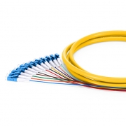 1,5m (5ft) Pigtail à Fibre Optique LC UPC 12 Fibres OS2 Monomode Faisceau PVC (OFNR) 0,9mm Cette image concerne FS12SM-LCU-BP-1.5M-PVC.