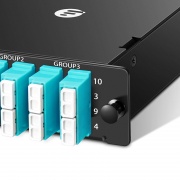 その他 8tPn 24 Fibers MTP®-8 LC MTP® Cassette Module, OM4 Multimode