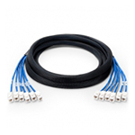 3m(10ft) 両端6ジャック Cat6シールドなし(UTP) 事前終端銅製トランクケーブル(PVC CMR) この写真はに関するものです。