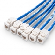 Customized Cat5e Unshielded (UTP) PVC CMR Pre-Terminated Copper Trunk Cable This picture is about C5EUTP6.