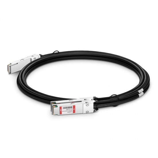 Customized 200G QSFP-DD to 2x100G QSFP28 Passive Direct Attach Copper Breakout Cable