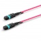 3m (10ft) MTP® Female to 6 LC Uniboot with Push Pull Tabs 12 Fibers Type A LSZH OM4 50/125 Multimode Elite HD Breakout Cable, Magenta